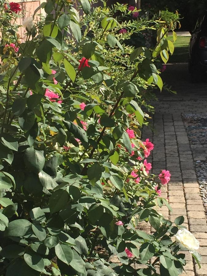 Bed and Breakfast Rose Garden Mezzanine Giverny Esterno foto
