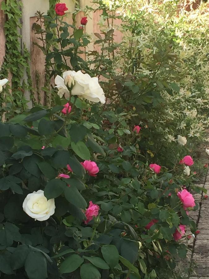 Bed and Breakfast Rose Garden Mezzanine Giverny Esterno foto